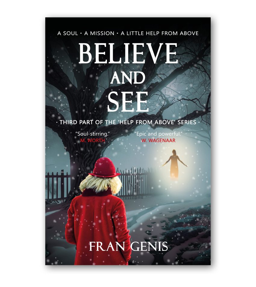 Believe and See, paperback, a mystical spiritual novel with meditation and tarot